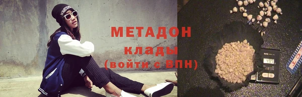 прущие грибы Елизово