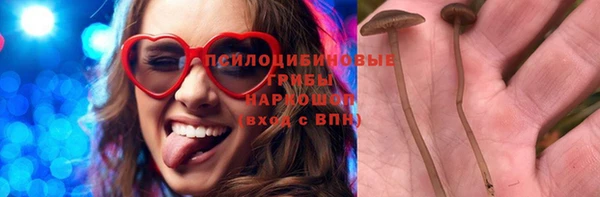 прущая мука Гусев