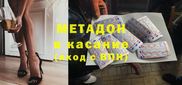 прущие грибы Елизово